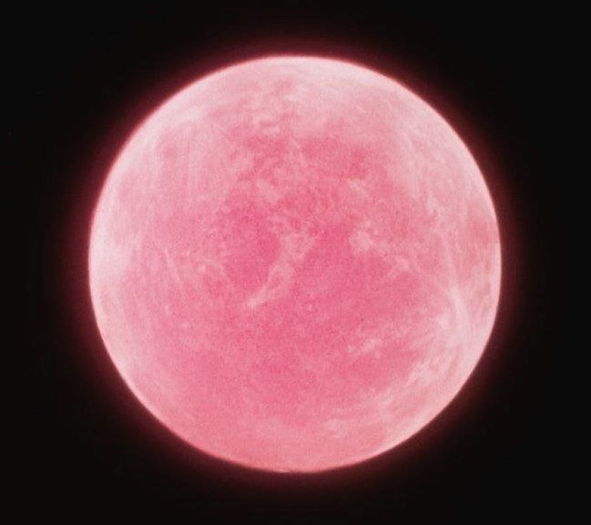Full Pink Moon Ritual 2022 – Rising Above the Noise