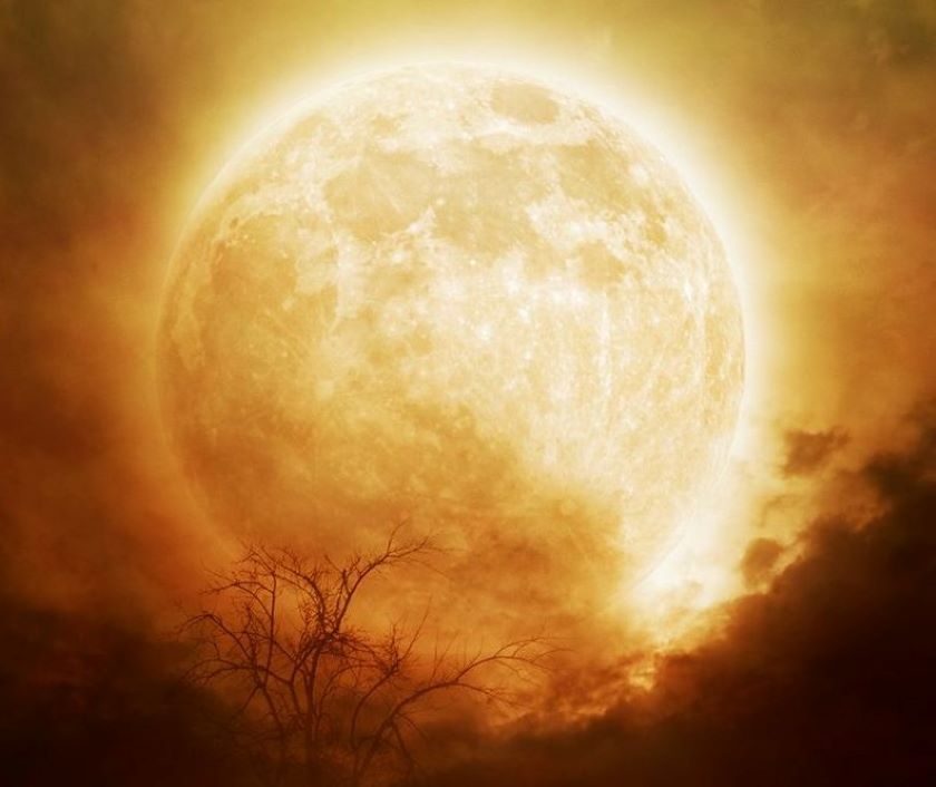 Full Hunter’s Moon Ritual 2022 – Finding Your Tribe