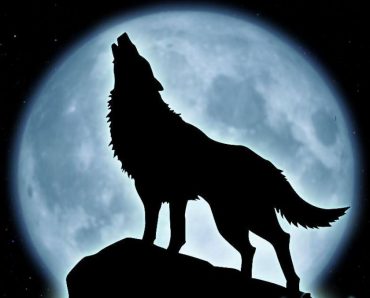 wolf moon ritual circle