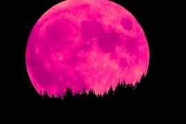 full pink moon ritual