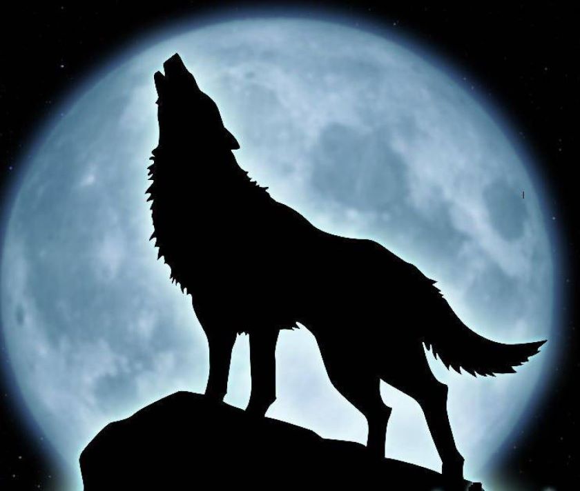 https://www.thegypsythread.org/wp-content/uploads/2024/01/Full-wolf-moon-ritual-main.jpg